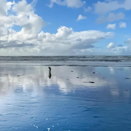 Pet Friendly Home In Bergen Aan Zee